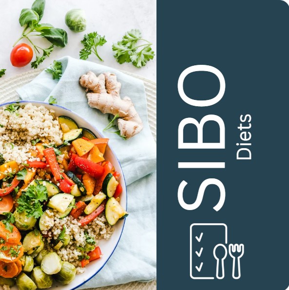 There are different diets that can make sense to follow while treating SIBO.