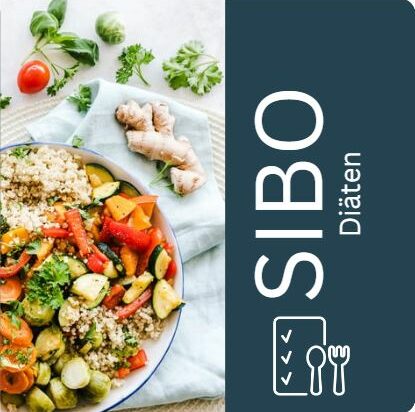 Wie sieht ein SIBO-Ernährungsplan aus?