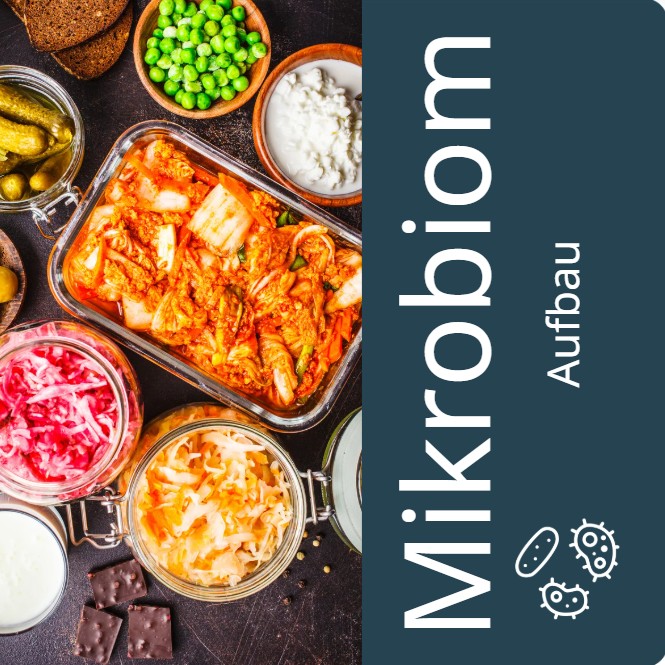 Das Mikrobiom kann über verschiedene Wege gestärkt werden.