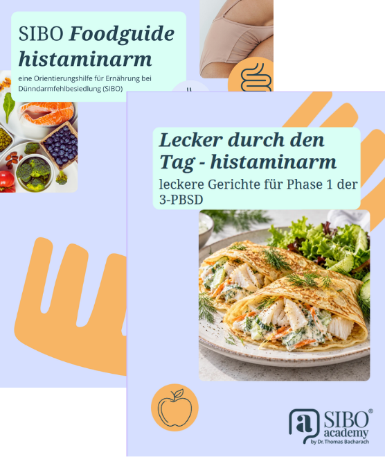 Histaminarmer SIBO Foodguide und Rezepte eBook