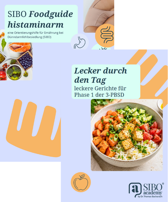 Klassischer SIBO Foodguide und Rezepte eBook